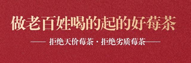 张家界莓茶怎么样？它性质是寒还是热？分享正确泡法和注意事项 