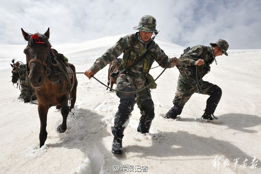 图便宜不买车损险，到底是省钱还是亏钱？吃一次亏就知道了 